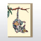 Marini Ferlazzo - Ringtail Possum Greeting Card