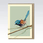 Marini Ferlazzo - Wren Bushwalk Greeting Card