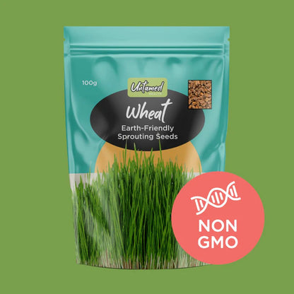 Untamed Health - Wheat Sprouting Seeds