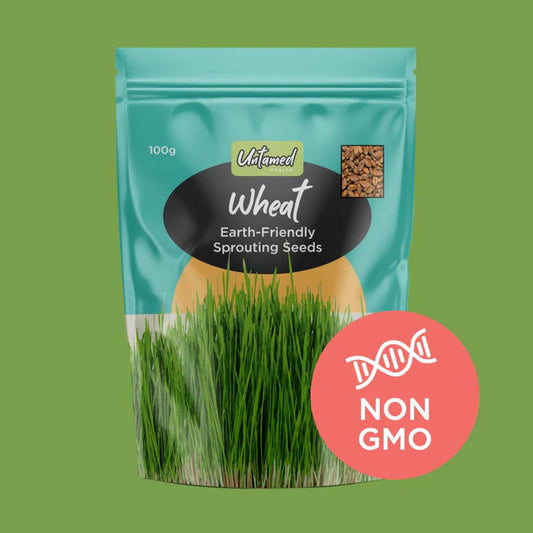 Untamed Health - Wheat Sprouting Seeds