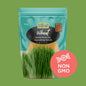 Untamed Health - Wheat Sprouting Seeds