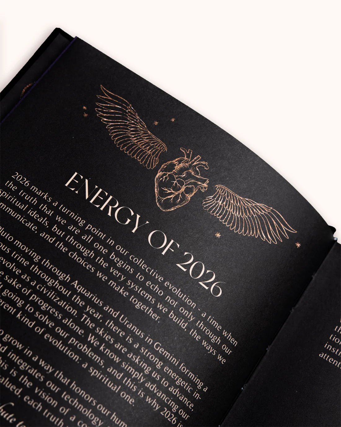 Dreamy Moons - 2026 Year of Growth Book (Onyx Black)