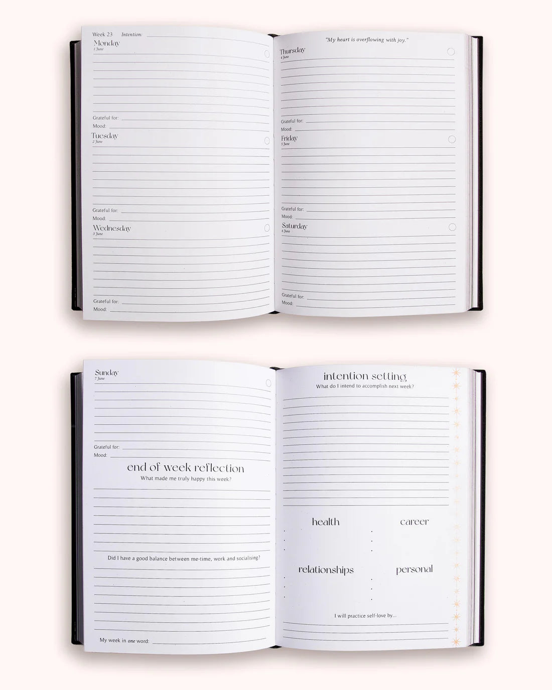 Dreamy Moons - 2026 Year of Growth Book (Vintage Rose)