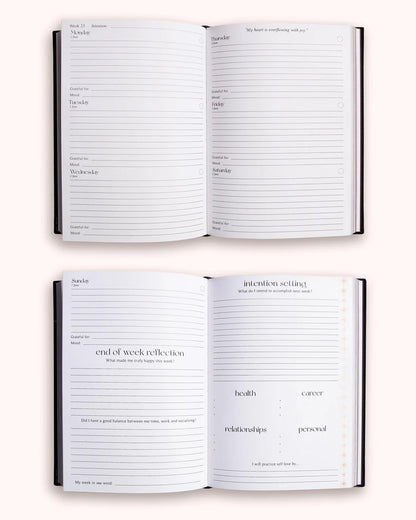 Dreamy Moons - 2026 Year of Growth Book (Vintage Rose)