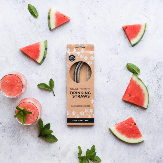 Ever Eco Stainless Steel Straw