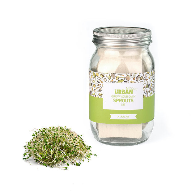 Urban Greens - Sprout Jar Kits