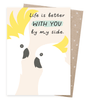 Earth Greetings - Greeting A5 Cards | By My Side