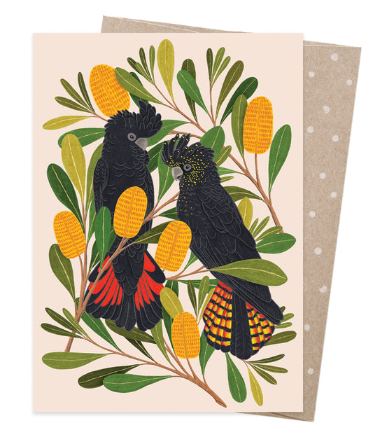 Earth Greetings - Greeting A5 Cards | Cockatoos & Banksia