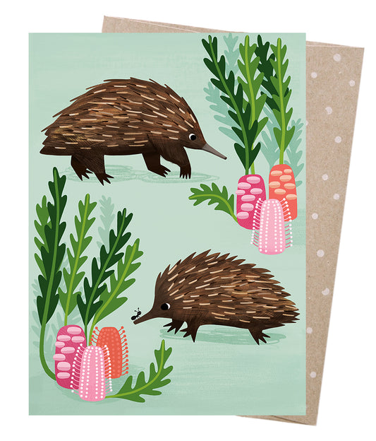Earth Greetings - Greeting A5 Cards | Short-beaked Echidnas