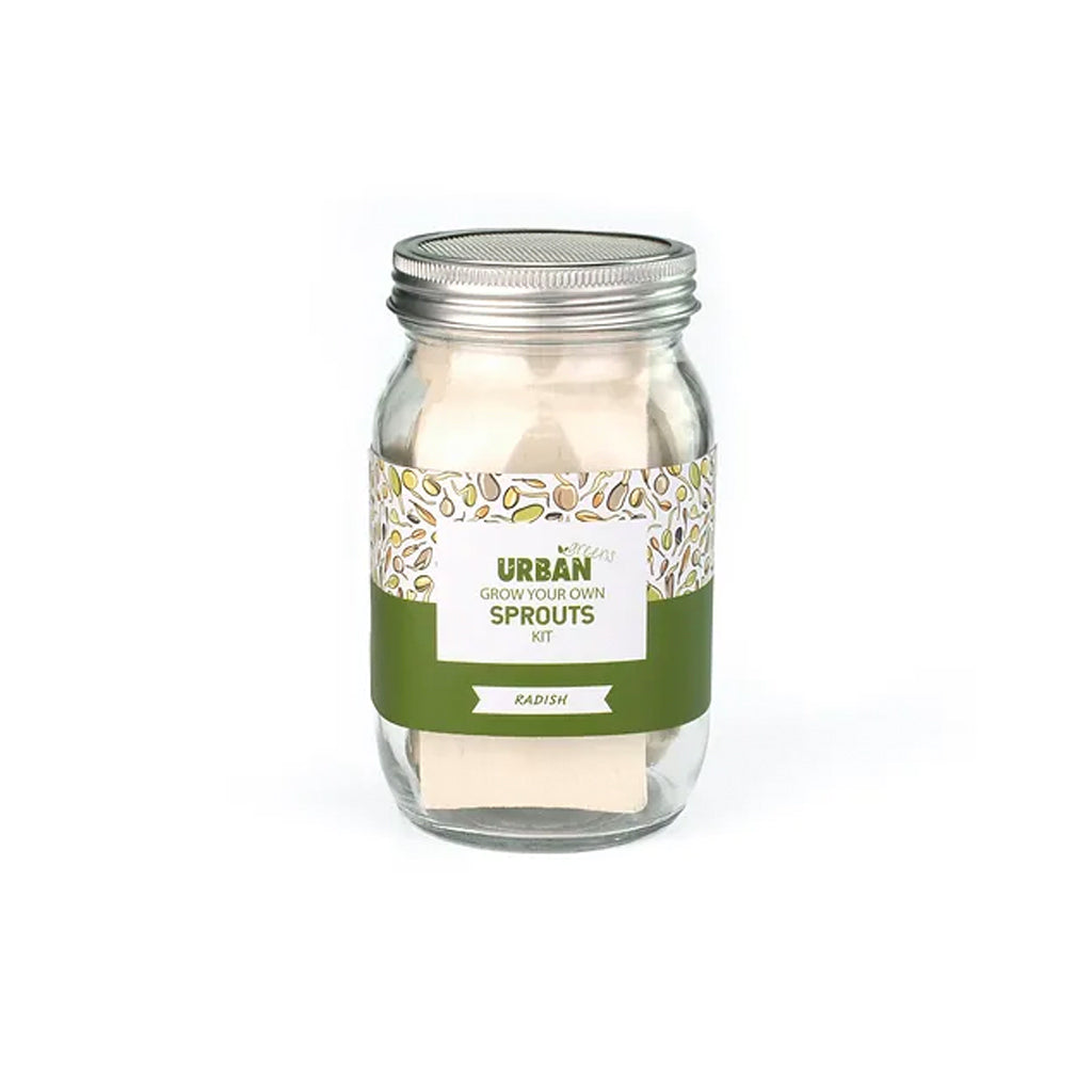 Urban Greens Sprout Jar Kit - Radish