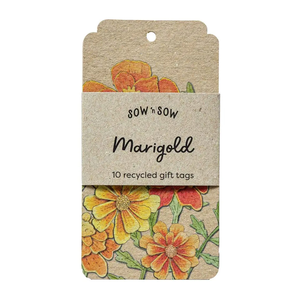 Sow 'N' Sow Recycled Gift Tag