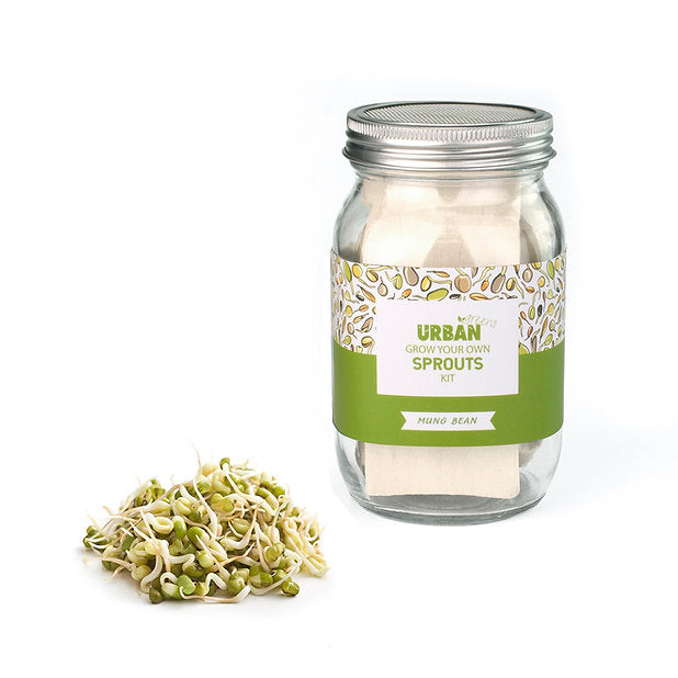 Urban Greens - Sprout Jar Kits