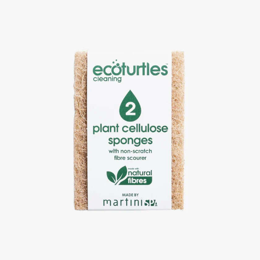 Eco Turtles - Non Scratch Plant Cellulose Sponge