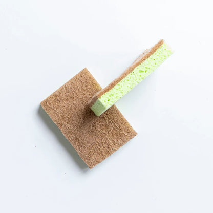 Eco Turtles - Non Scratch Plant Cellulose Sponge