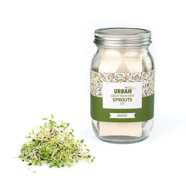 Urban Greens - Sprout Jar Kits