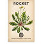 Little Veggie Patch Co - Heirloom Seeds