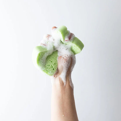 Eco Turtles - Multipurpose Cellulose Sponge