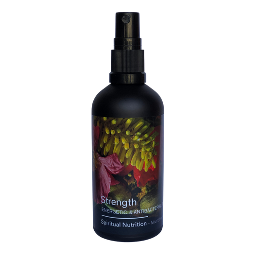 Spiritual Nutrition - Strength Energetic & Antibacterial Mist