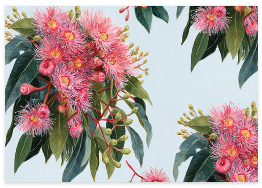 Earth Greetings - Recycled Folded Wrapping Paper | Summer Gumflowers