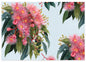 Earth Greetings - Recycled Folded Wrapping Paper | Summer Gumflowers