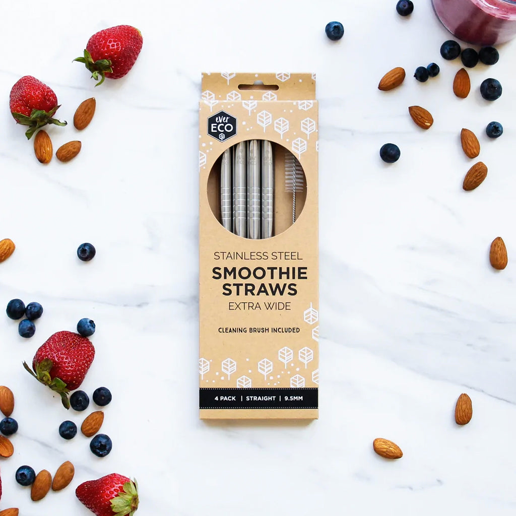 Ever Eco Stainless Steel Smoothie Straws Straight 4 Pack